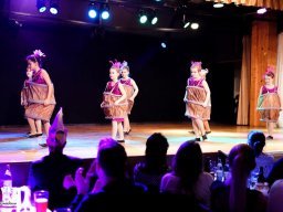 prunksitzung auerbach-3